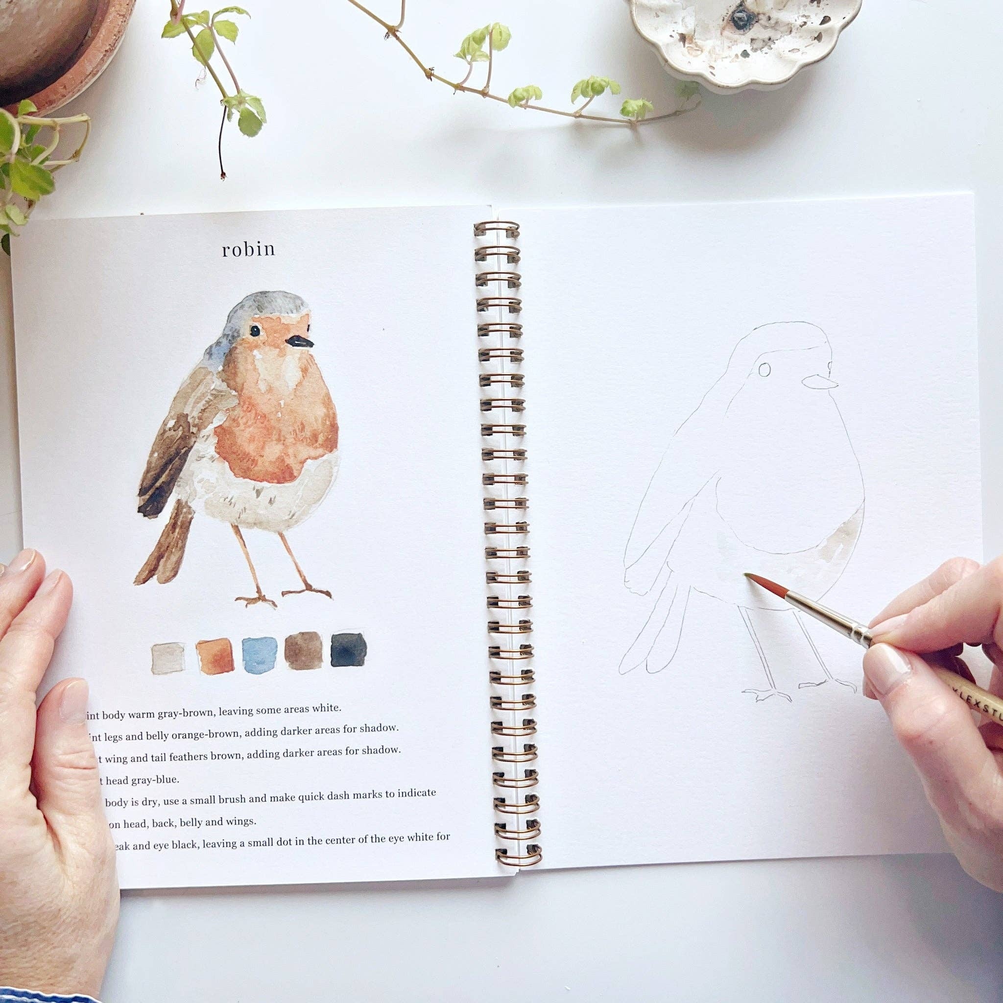 emily lex studio - Birds watercolor workbook | Baglady Boutique