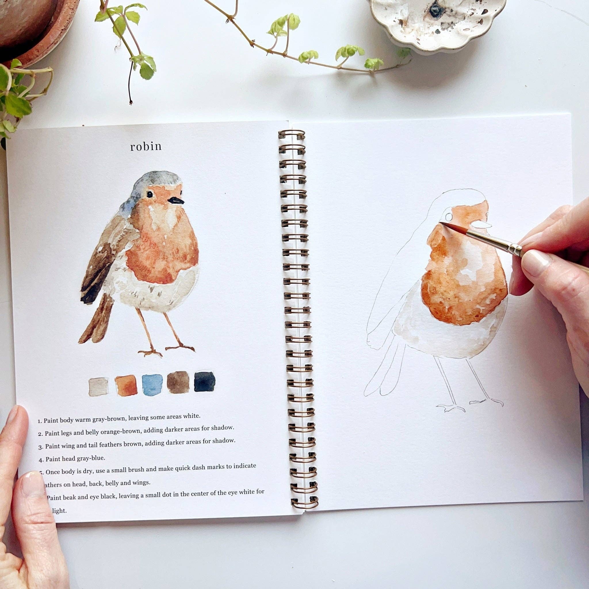 emily lex studio - Birds watercolor workbook | Baglady Boutique